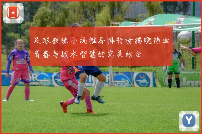 足球教练小说推荐排行榜揭晓热血青春与战术智慧的完美结合
