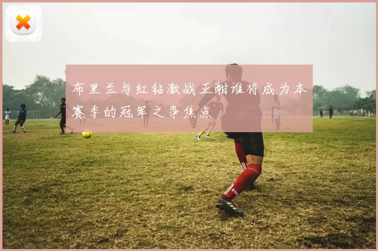 布里兰与红钻激战正酣谁将成为本赛季的冠军之争焦点