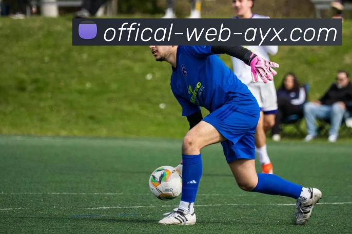 爱游戏发展历程